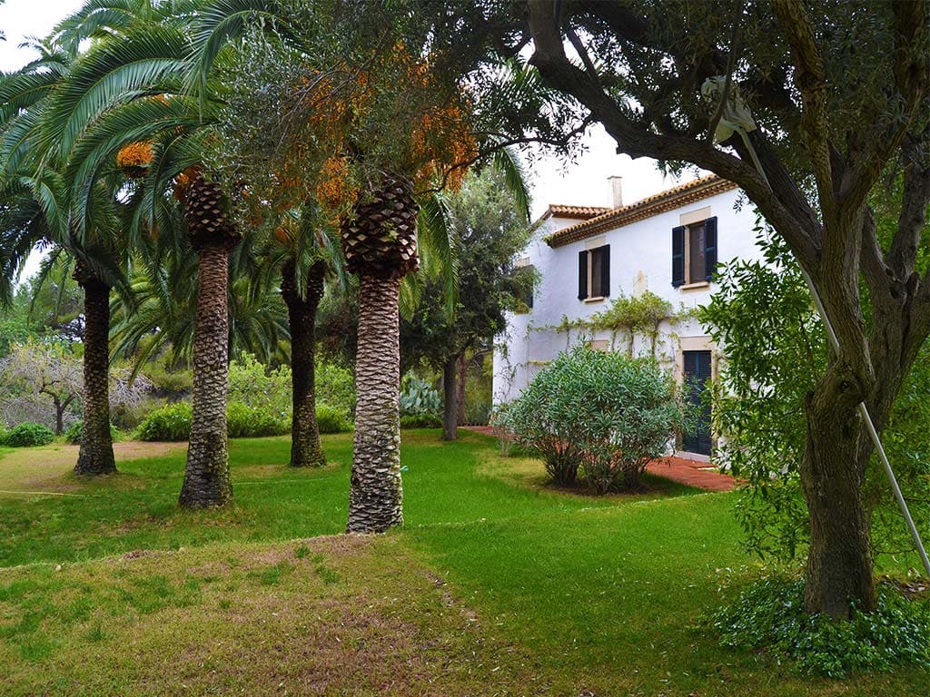 casa rural en sitges y sus palmeras mediterráneas