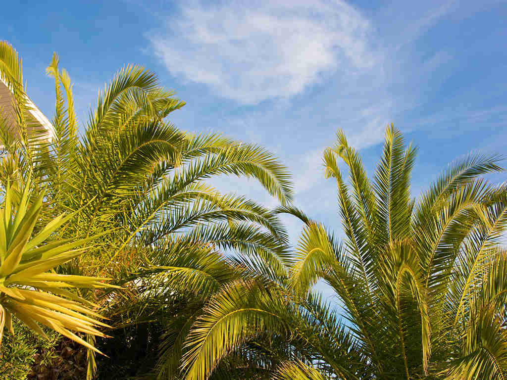 vacaciones en sitges en invierno rodeado de naturaleza