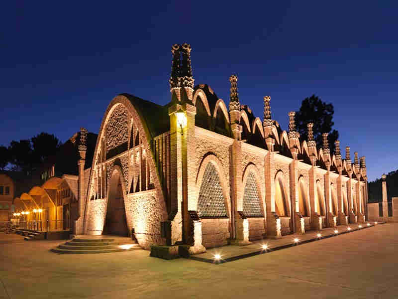 Activities in the Penedés: Codorniu wineries