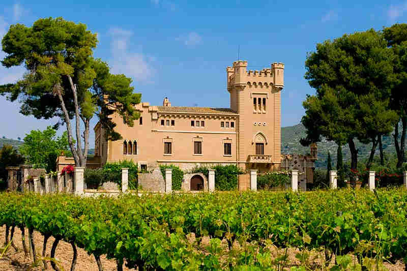 Actividades en el Penedés: bodegas de vino